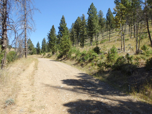 GDMBR: Priest Pass Road - NF-335.